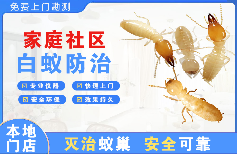 龙泉驿家庭社区白蚁防治