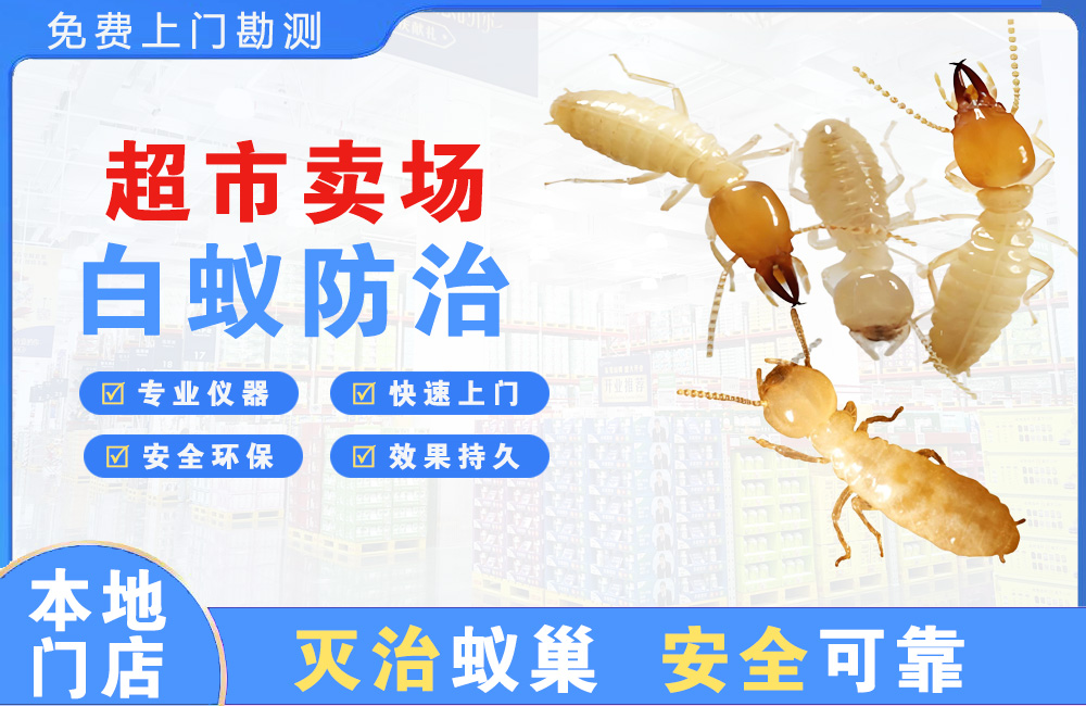 龙泉驿超市卖场白蚁防治