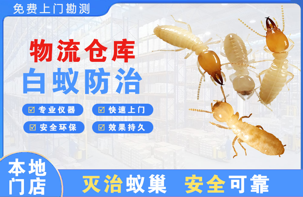 龙泉驿物流仓库白蚁防治