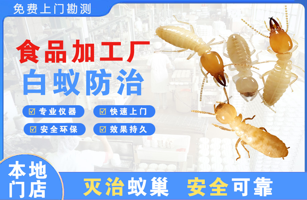龙泉驿食品加工厂白蚁防治
