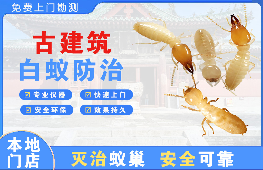 龙泉驿古建筑白蚁防治