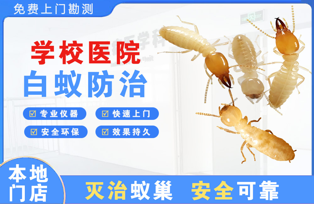 龙泉驿学校医院白蚁防治