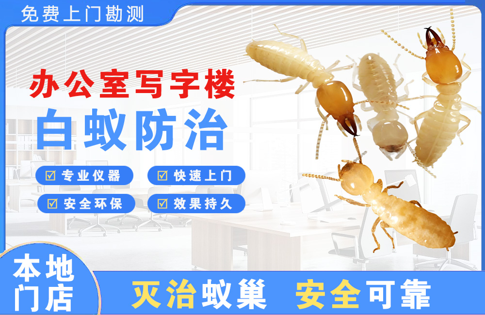 龙泉驿办公室写字楼白蚁防治