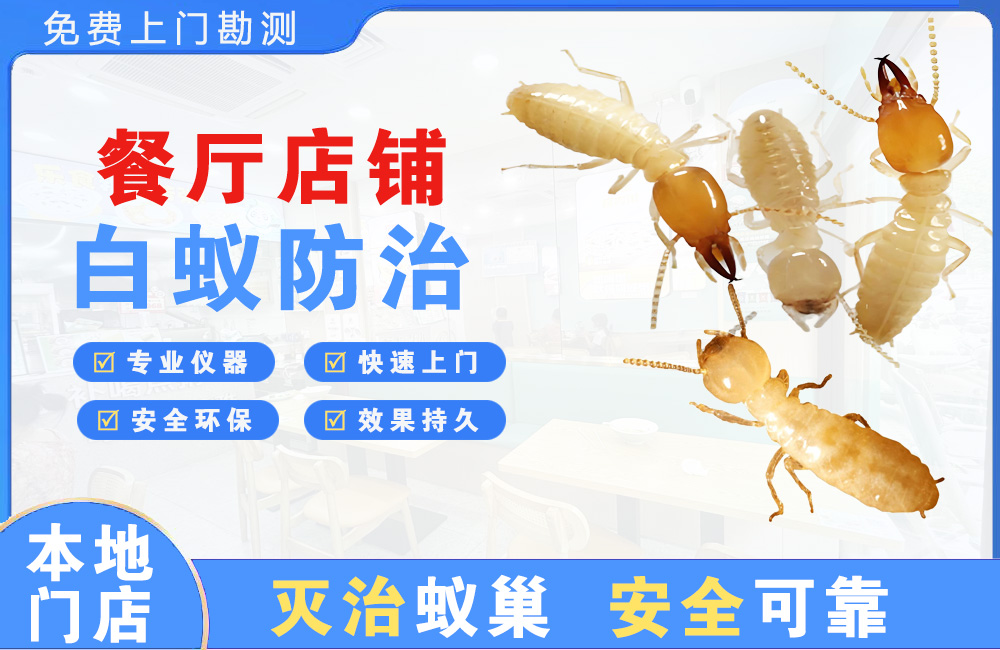 龙泉驿餐厅店铺白蚁防治